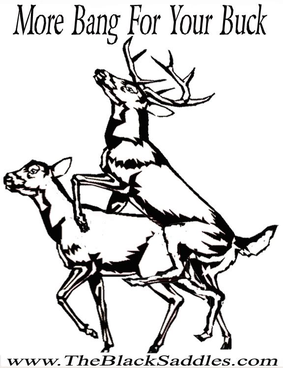 More Bang For Your Buck 2 Photo by TheBlackSaddles Photobucket